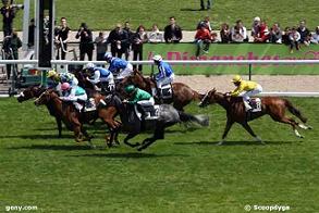 Poule Francesa (Foto: geny.com)